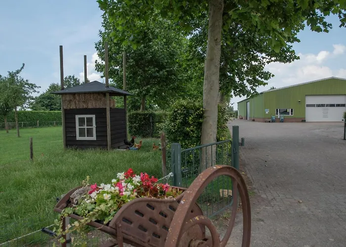 De Dorsvloer