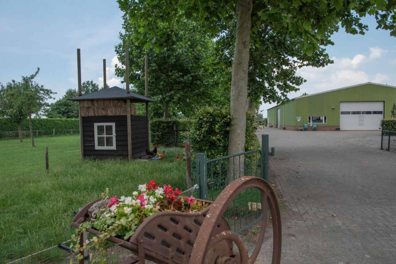 De Dorsvloer * Drimmelen